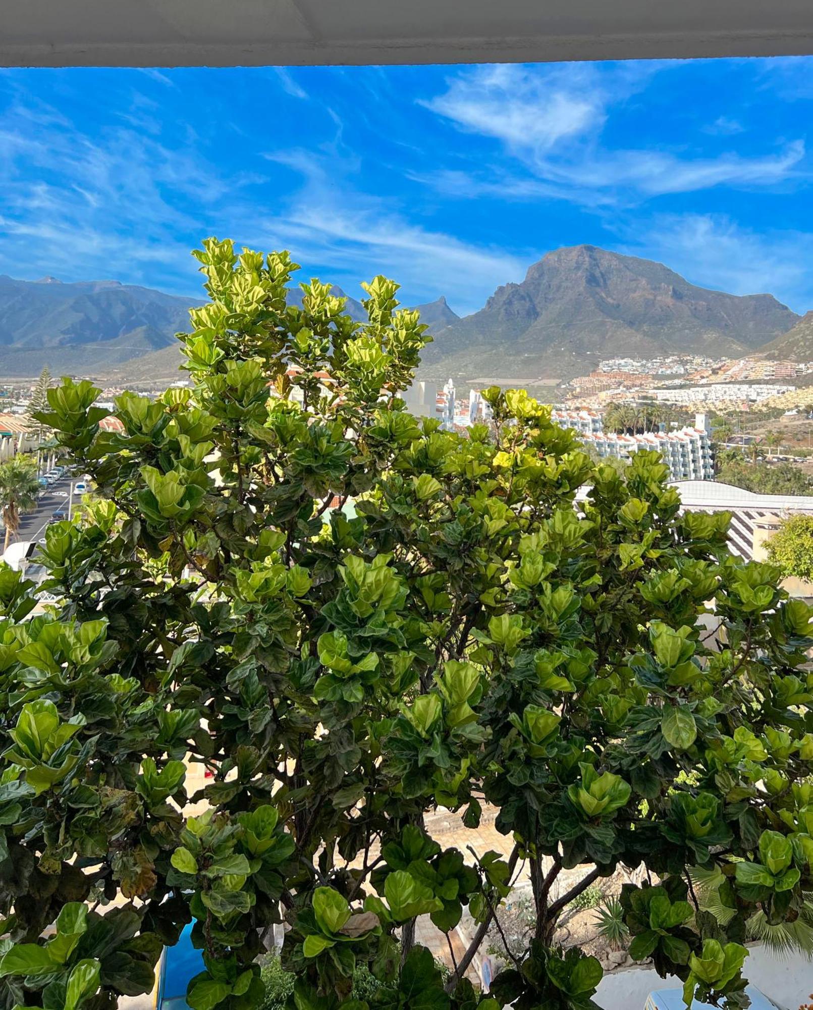 Tenerife Paradise Anna Studio 아데제 외부 사진